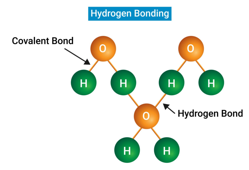 Diagram showing tetrahedral hydrogen bonding arrangement of water molecules during the transition toward ice formation.