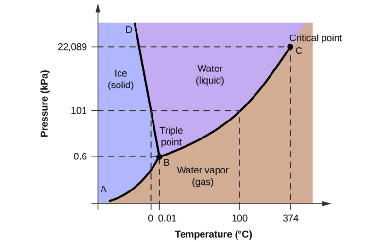 What Temperature Does Water Freeze? Science Explained