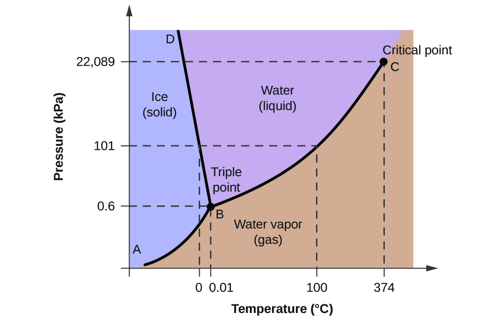 Water phase diagram illustrating how freezing point shifts with changes in pressure and temperature.